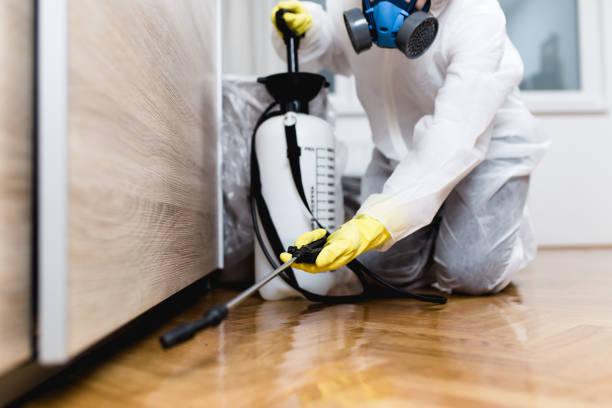 Best Residential Pest Control  in Effort, PA