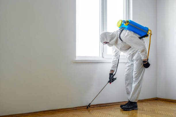 Best Pest Prevention Services  in Effort, PA