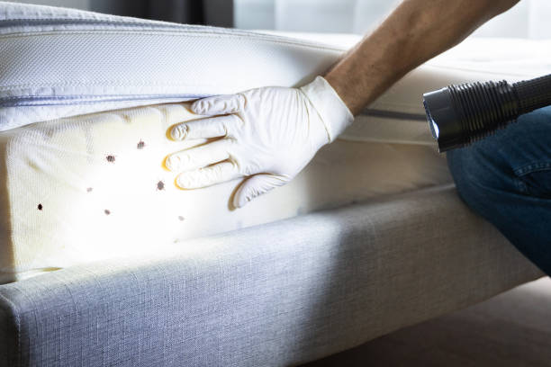 Trusted Effort, PA Pest Control Experts