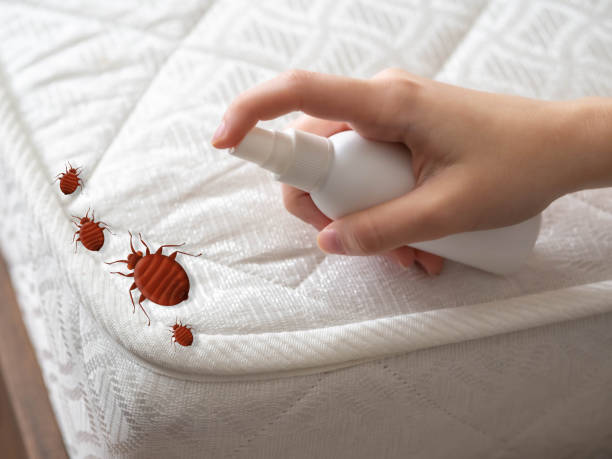 Best Residential Pest Control  in Effort, PA