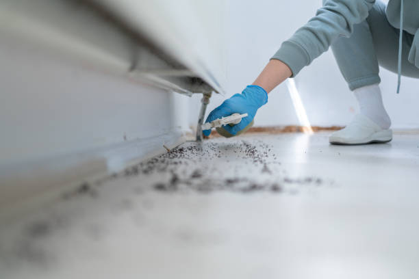 Best Pest Control Cost  in Effort, PA
